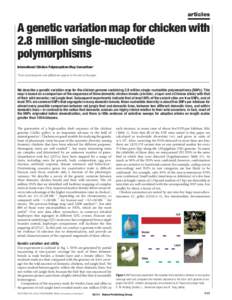 articles  A genetic variation map for chicken with 2.8 million single-nucleotide polymorphisms International Chicken Polymorphism Map Consortium*