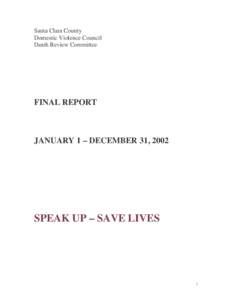 2003 Report - Santa Clara County Domestic Violence Council
