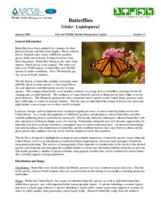 Butterflies (Order: Lepidoptera) January 2000 Fish and Wildlife Habitat Management Leaflet