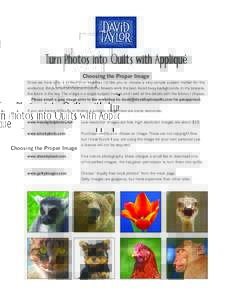 Turn Photos into Quilts with Appliqué Choosing the Proper Image Since we have only a limited time together, I’d like you to choose a very simple subject matter for the workshop. Birds, small animals and colorful flowe