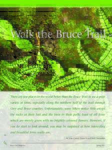 Walk the Bruce Trail -  There are few places in the world better than the Bruce Trail to see a great variety of ferns, especially along the northern half of the trail through Grey and Bruce counties. Unfortunately, some 