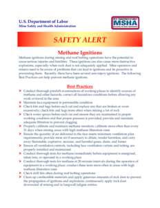Microsoft Word - SAFETY ALERT - Methane Ignitions.docx