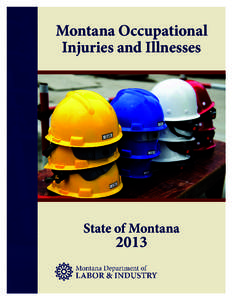 Montana Occupational Injuries and Illnesses State of Montana  2013