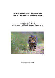 Practical Wildcat Conservation in the Cairngorms National Park