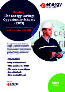 Briefing:  The Energy Savings Opportunity Scheme (ESOS) Your guide to understanding