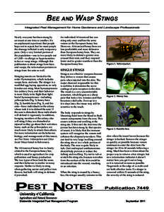 Bee and Wasp Stings Integrated Pest Management for Home Gardeners and Landscape Professionals Nearly everyone has been stung by an insect at one time or another. It’s an unpleasant experience that people hope not to re