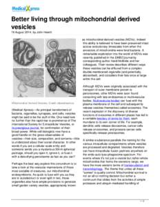 Better living through mitochondrial derived vesicles