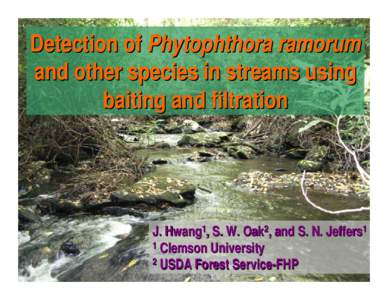 Detection of Phytophthora ramorum and other species in streams using baiting and filtration