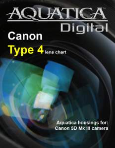 Canon Type 4 lens chart  4