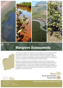 Mangrove Assessments The study of mangrove ecosystems is a specialist service provided by Biota Environmental Sciences. These important intertidal communities fringe the northern coasts of Australia and provide a range o
