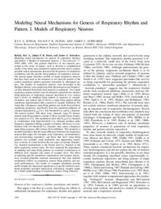 Modeling Neural Mechanisms for Genesis of Respiratory Rhythm and Pattern. I. Models of Respiratory Neurons ILYA A. RYBAK, JULIAN F. R. PATON, AND JAMES S. SCHWABER Central Research Department, DuPont Experimental Station