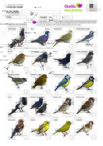 Ocells  FITXA DE CAMP dels Jardins