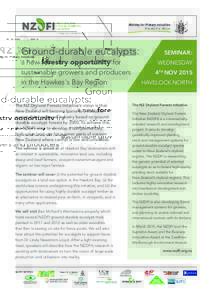 Ground-durable eucalypts: a new forestry opportunity for sustainable growers and producers in the Hawkes‘s Bay Region The NZ Dryland Forests Initiative’s vision is that New Zealand will become home to a valuable