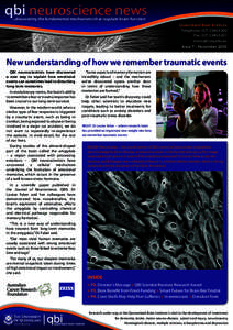 newsletter template cropped november 2008