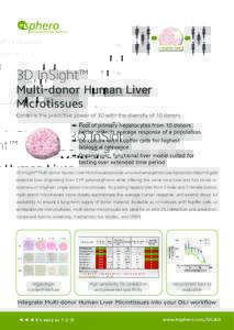 3D InSight™  Multi-donor Human Liver Microtissues Combine the predictive power of 3D with the diversity of 10 donors ▬▬ Pool of primary hepatocytes from 10 donors