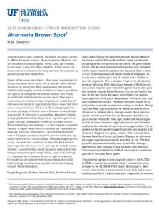 FLORIDA CITRUS PRODUCTION GUIDE:  Alternaria Brown Spot1 M.M. Dewdney 2  Alternaria brown spot, caused by the fungus Alternaria alternata, affects Minneola tangelos, Dancy tangerines, Murcotts, and