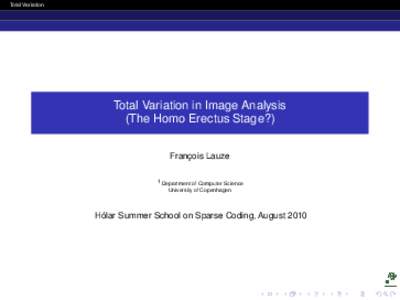 Total Variation  Total Variation in Image Analysis (The Homo Erectus Stage?) François Lauze 1 Department of Computer Science