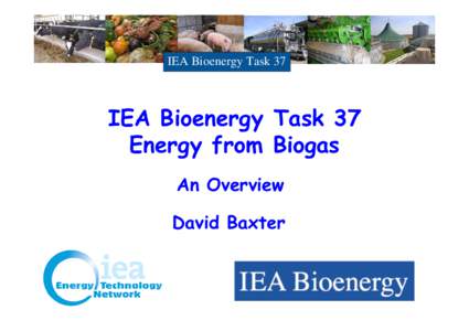 Microsoft PowerPoint - IEA_Overview_and_Introduction_David_Baxter_04ppt [Compatibility Mode]