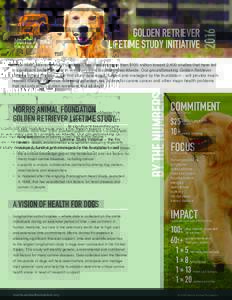 2016  GOLDEN RETRIEVER LIFETIME STUDY INITIATIVE  MORRIS ANIMAL FOUNDATION