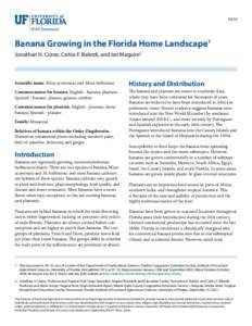 HS10  Banana Growing in the Florida Home Landscape1 Jonathan H. Crane, Carlos F. Balerdi, and Ian Maguire2  Scientific name: Musa acuminata and Musa balbisiana