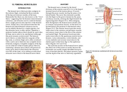 15. FEMORAL NERVE BLOCK INTRODUCTION The femoral nerve block provides analgesia to the anterior thigh, including the flexor muscles of the hip and extensor muscles of the knee. Historically this block was also known as t
