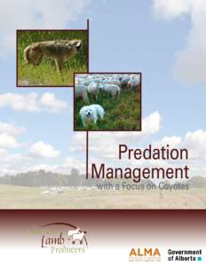 Predation Management with a Focus on Coyotes This publication is available to view or download online at http://www.ablamb.ca