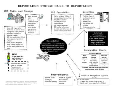 DEPORTATION SYSTEM: RAIDS TO DEPORTATION ICE Raids and Sweeps ICE  • Some ICE trigger sites: