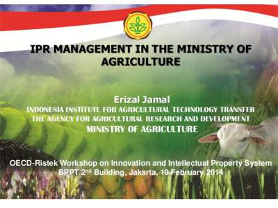 IPR MANAGEMENT IN THE MINISTRY OF AGRICULTURE Erizal Jamal INDONESIA INSTITUTE FOR AGRICULTURAL TECHNOLOGY TRANSFER THE AGENCY FOR AGRICULTURAL RESEARCH AND DEVELOPMENT