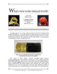 ============================================================  What’s New in the Mineral World?