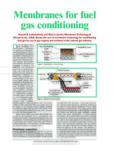 Membrane Fuel Gas Conditioning