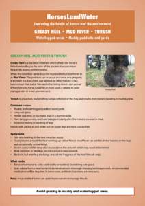 HorsesLandWater Improving the health of horses and the environment GREASY HEEL • MUD FEVER • THRUSH Waterlogged areas • Muddy paddocks and yards