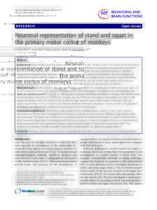 Neuronal representation of stand and squat in the primary motor cortex of monkeys