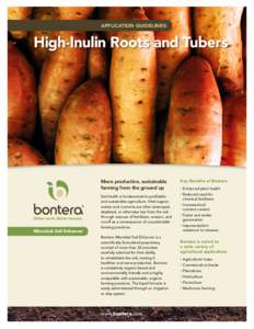 APPLICATION GUIDELINES:  High-Inulin Roots and Tubers More productive, sustainable farming from the ground up