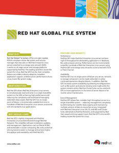 RED HAT GLOBAL FILE SYSTEM  �����������