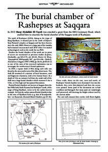 EGYPTIAN  ARCHAEOLOGY The burial chamber of Rashepses at Saqqara