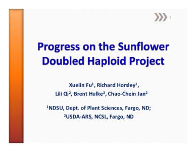 Microsoft PowerPoint - Progress on the Sunflower Doubled Haploid Project - FU.pptx