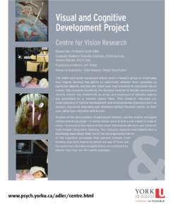Visual and Cognitive Development Project Centre for Vision Research Monitor  Infrared monitor