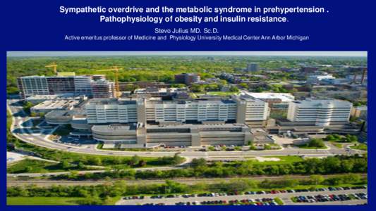 Sympathetic overdrive and the metabolic syndrome in prehypertension . Pathophysiology of obesity and insulin resistance. Stevo Julius MD. Sc.D. Active emeritus professor of Medicine and Physiology University Medical Cent
