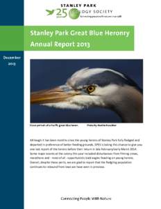 Although it has been months since the young herons of Stanley Park fully fledged and departed in preference of better feeding grounds, SPES is taking this chance to give you one last report of the herons before their ret