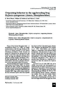 Phyllomedusa 7(2):[removed], 2008 © 2008 Departamento de Ciências Biológicas - ESALQ - USP ISSN[removed]Ovipositing behavior in the egg-brooding frog Stefania ayangannae (Anura, Hemiphractidae)