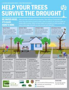 │ CALIFORNIA URBAN FORESTS COUNCIL │ INVEST FROM THE GROUND UP │  HELP YOUR TREES SURVIVE THE DROUGHT BE WATER-WISE. IT’S EASY.