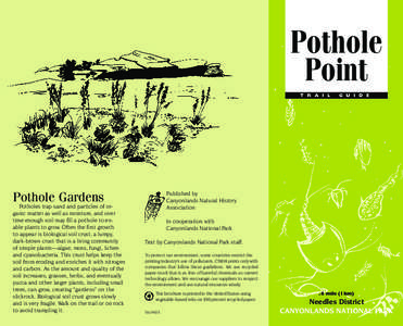 Pothole Point T R A I L Pothole Gardens