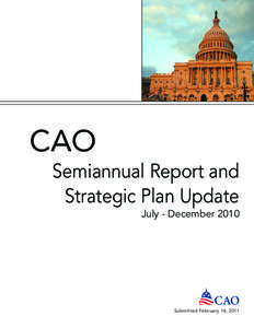 CAO Semiannual Report and Strategic Plan Update July - December 2010