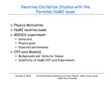 Physics Opportunities with NuMI Beam