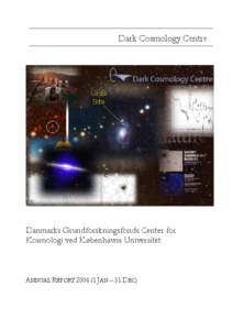 Dark Cosmology Centre  Danmarks Grundforskningsfonds Center for Kosmologi ved Københavns Universitet  ANNUAL REPORTJAN – 31 DEC)
