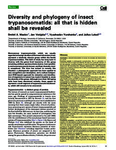 Trypanosomatid / Crithidia fasciculata / Crithidia / Leishmania / Kinetoplastid / Trypanosoma / Amastigote / Parasitism / Heteroptera / Euglenozoa / Microbiology / Biology