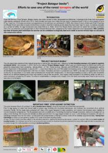 “Project Batagur baska”: Efforts to save one of the rarest terrapins of the world Anton WEISSENBACHER1, Rupali GHOSH1, Regina PFISTERMÜLLER1 and Peter PRASCHAG2 1: Vienna Zoo, Maxingstraße 13B A-1130 Vienna a.weiss