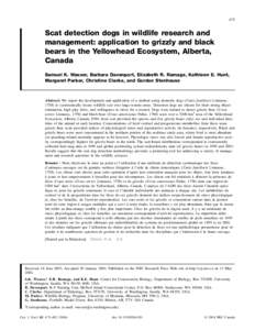 475  Scat detection dogs in wildlife research and management: application to grizzly and black bears in the Yellowhead Ecosystem, Alberta, Canada