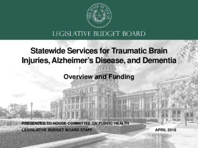 Statewide Services for Traumatic Brain Injuries, Alzheimer’s Disease, and Dementia