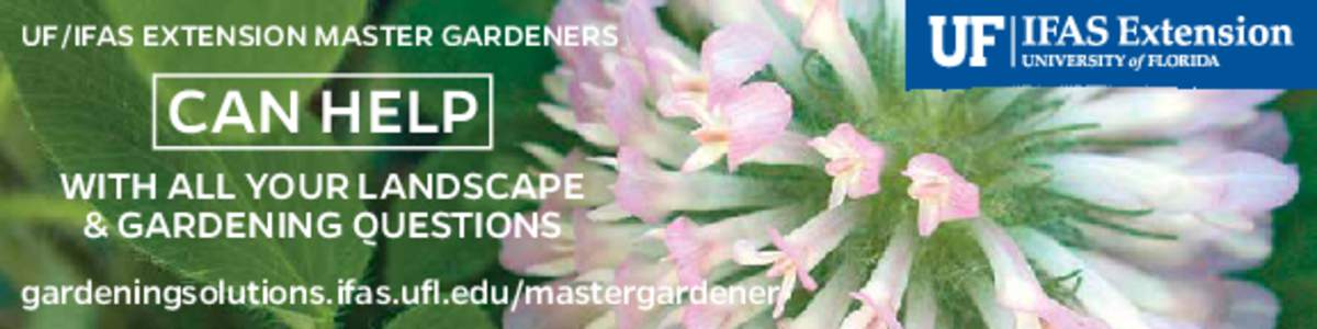 UF/IFAS EXTENSION MASTER GARDENERS  CAN HELP WITH ALL YOUR LANDSCAPE & GARDENING QUESTIONS gardeningsolutions.ifas.ufl.edu/mastergardener